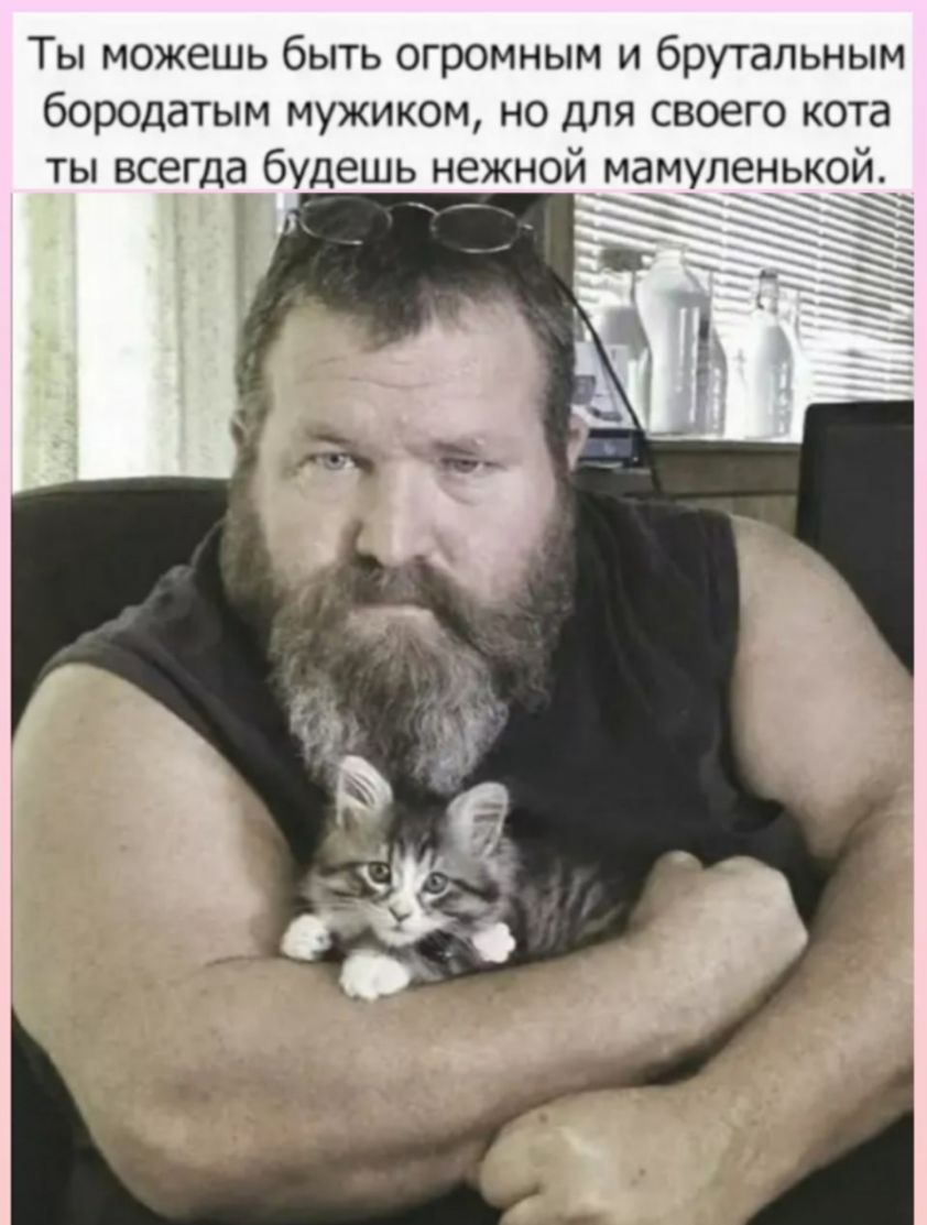 Ты можешь быть огромным и брутальным бородатым мужиком но для своего кота ты всегда будешь нежной мамупенькой имтУи ННПин