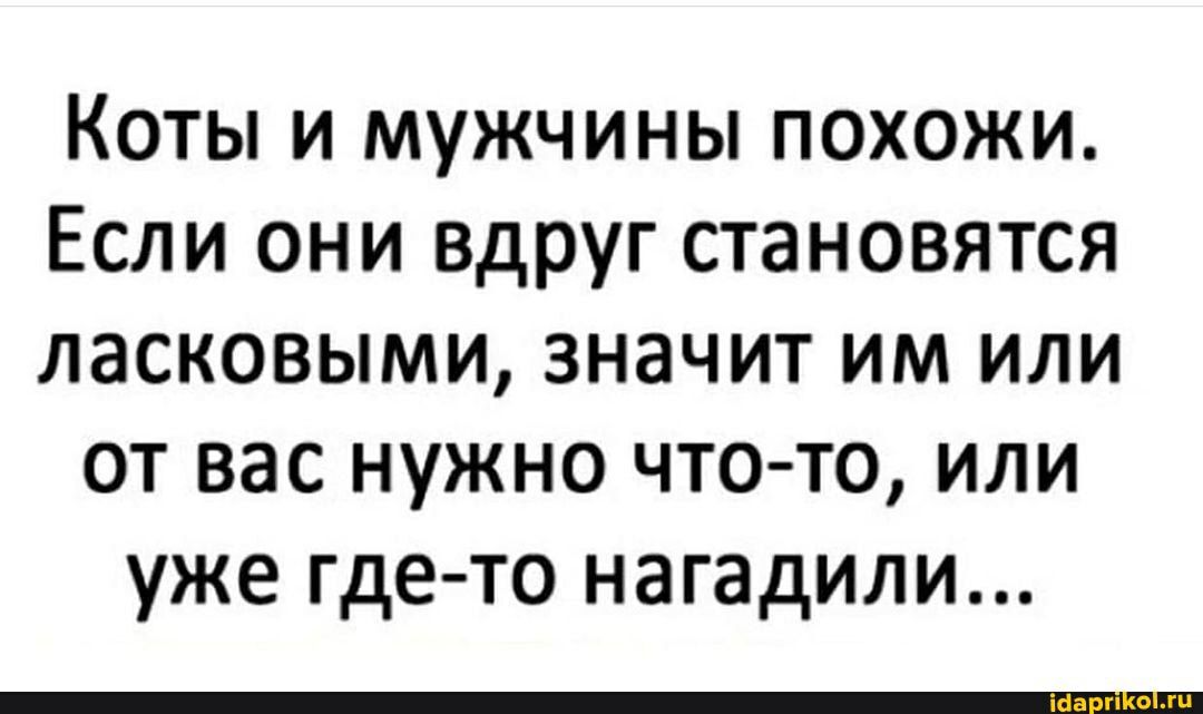 Коты и мужчины похожи Если они вдруг становятся ласковыми значит им или от вас нужно что то или уже гдето нагадили