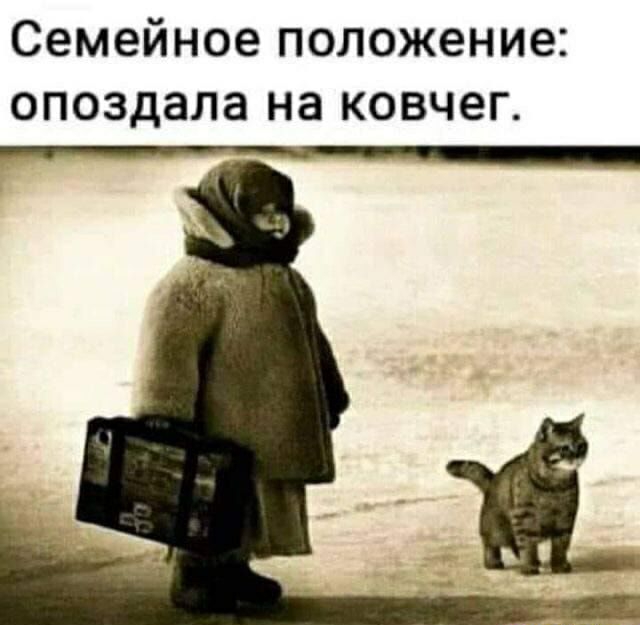 семейное ПОЛОЖЕН ие опоздала на КОВЧ6Г Щ