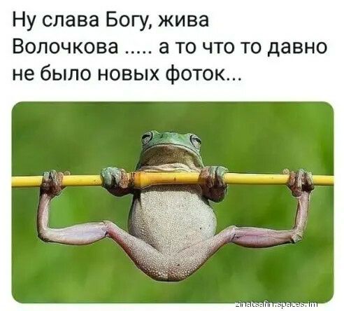Ну слава Богу жива Волочкова а то что то давно не было новых фоток