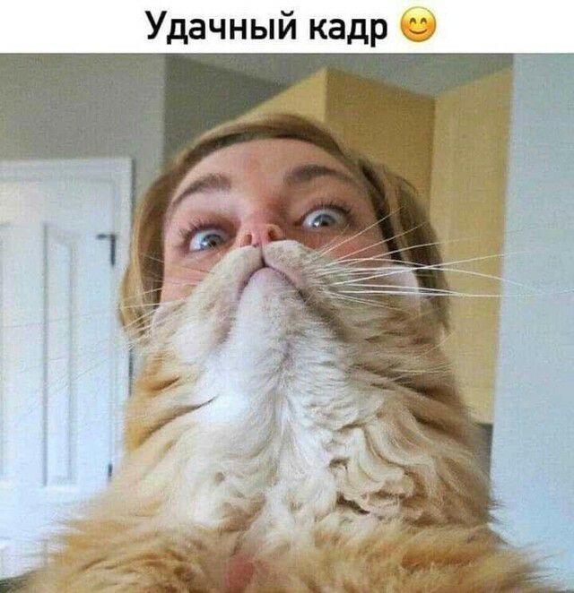Удачный кадр