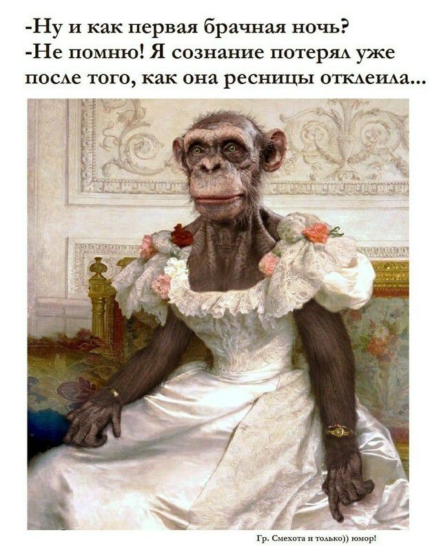 Ну и как первая брачная ночь Не помню Я сознание потерЯА уже песме того как она ресницы отшеща в а г _ г с п п юмор