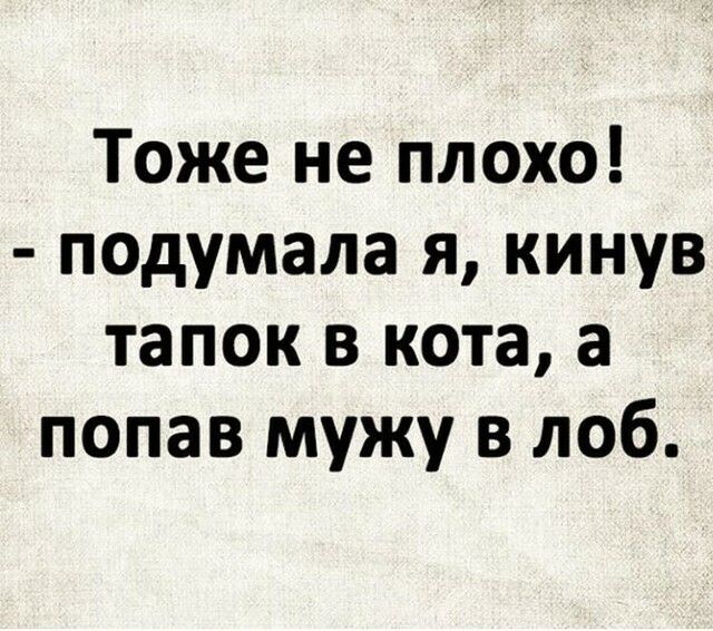 Тоже не плохо подумала я кинув тапок в кота а попав мужу в лоб