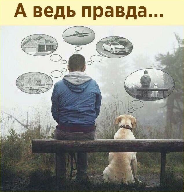 А ведь правда