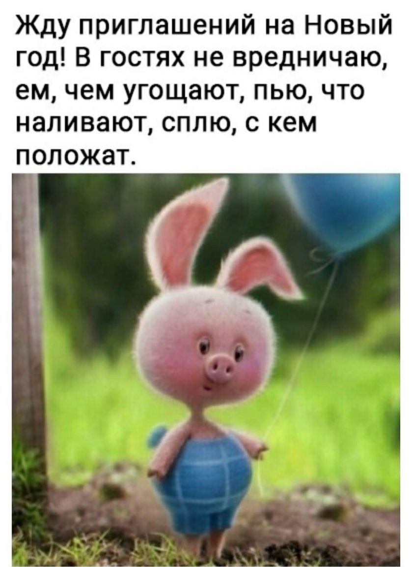 Жду приглашений на Новый год В гостях не вредничаю ем чем угощают пью что наливают сплю с кем положат