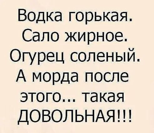 Водка горькая Сало жирное Огурец соленый А морда после этого такая ДОВОЛЬНАЯ