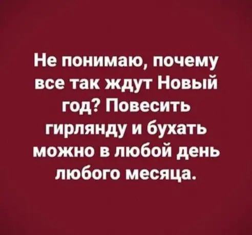 Не понимаю почему все так ждут Новый год Повесить гирляиду и бухать можно в любой день любого месяца