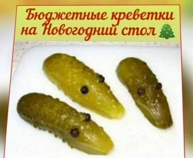 жетшш