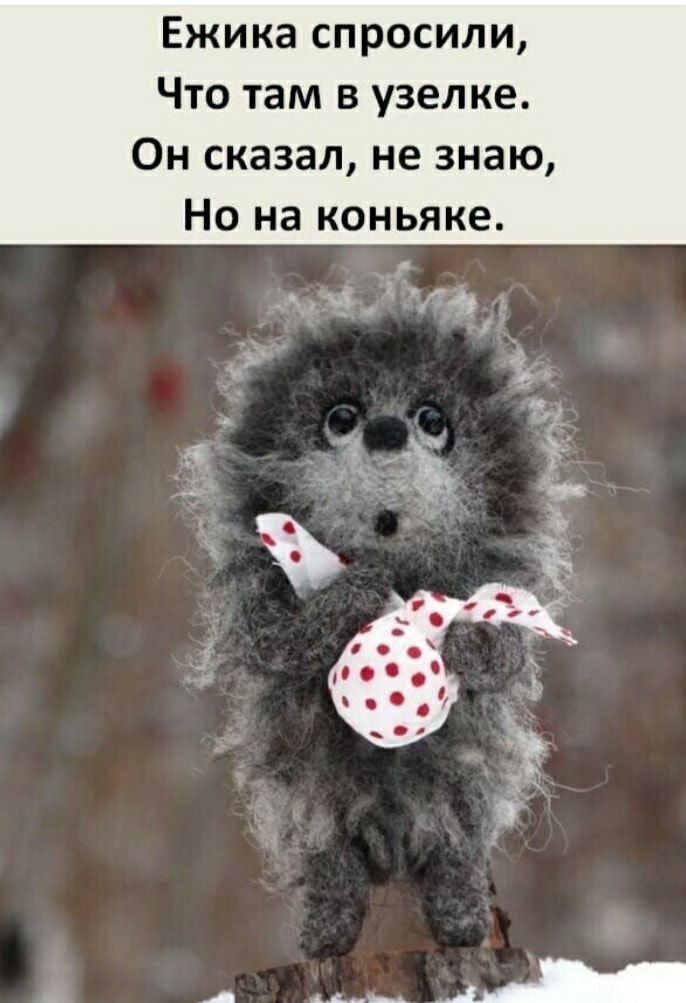 Ежика спросили Что там в узелке Он сказал не знаю Но на коньяке А ____