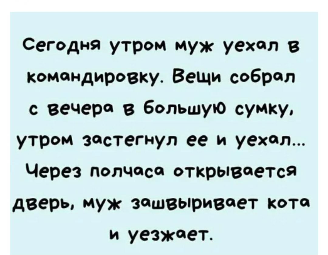 Сегодня утром муж уехал в Командировку Вещи собрал с вечера в большую сумку утром застегнул ее и уехал Через полчаса открывается дверь муж зашвыривоет кото и уезжает
