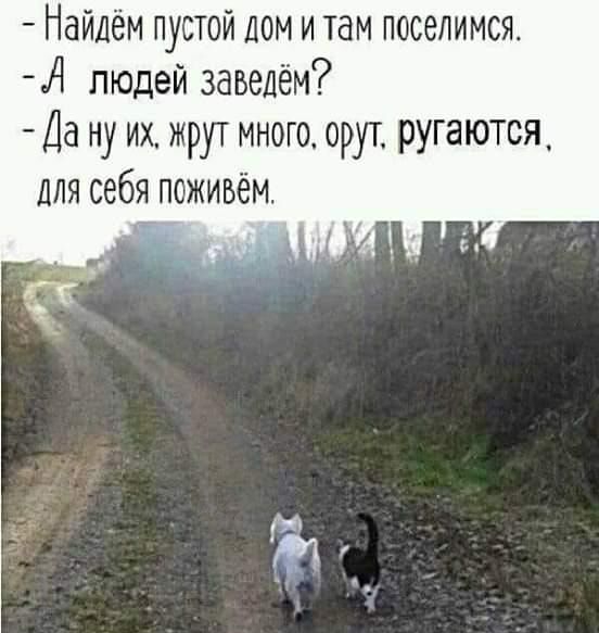 Найдём пустой лом и там поселимся А людей завелём Да ну их жрут много орут ругаются для себя поживём