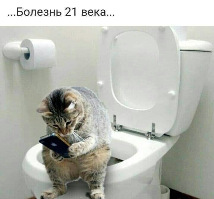 Болезнь 21 века