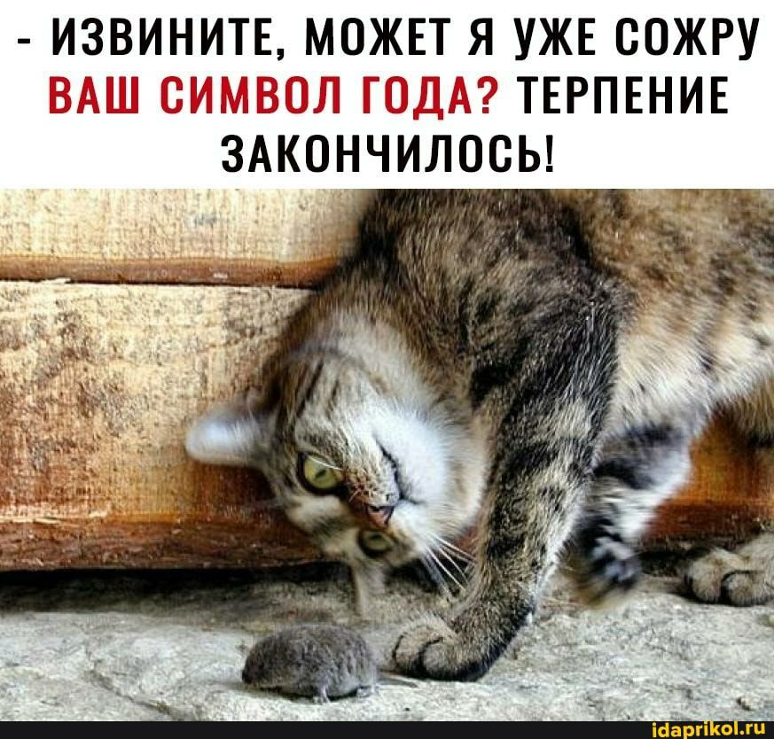 ИЗВИНИТЕ МОЖЕТ Я УЖЕ СОЖРУ ВП Ц_ 113 ТЕРПЕНИЕ ЗАКОНЧИЛОСЬ