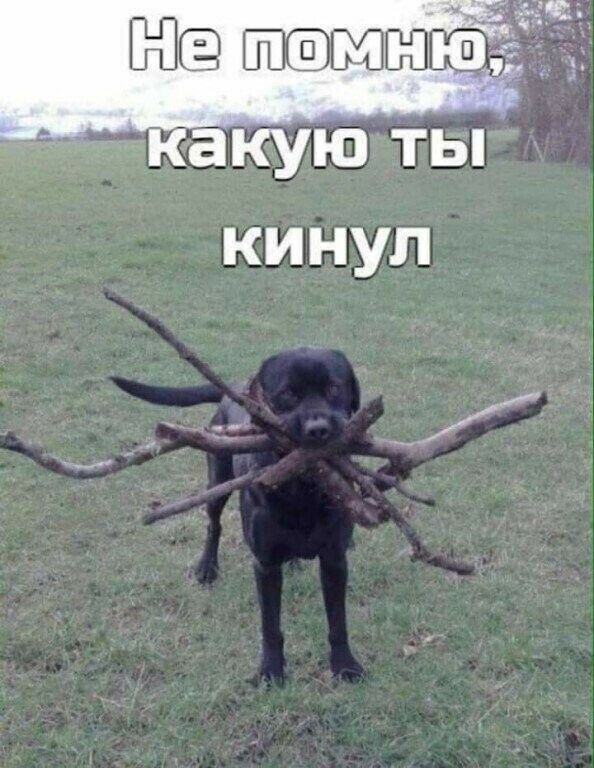 кинул