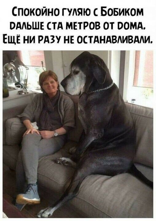 Спокойно гудяю Бовиком омьшъ стА миров от оомд ЕЩЁ ни РАЗУ нг остдндвмвми