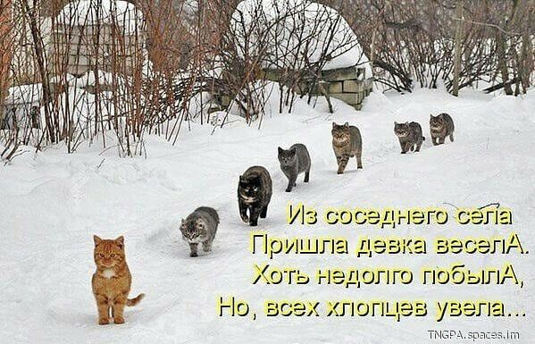 Пришла цена 19 за еххпогп гдз уаз па