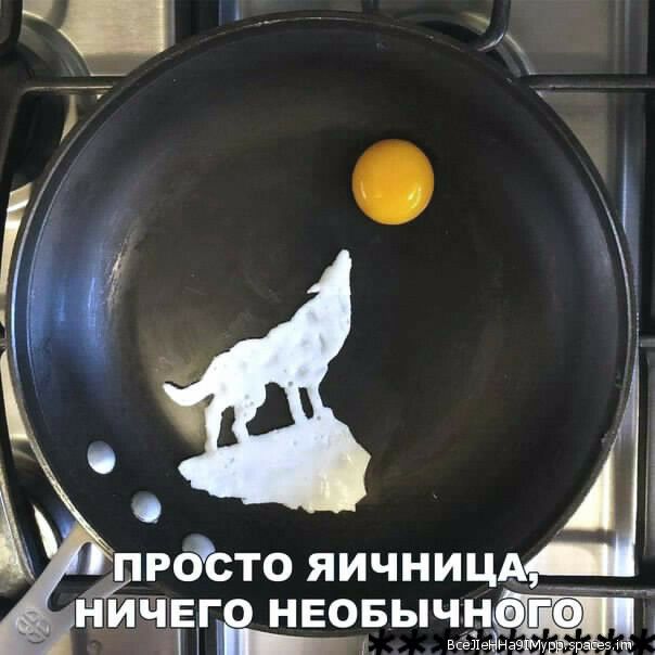 дрбсто яичниц НИЧЕГЁ НЕОБЬіЧНЁ