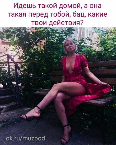 Идешь такой домой а она такая перед тобой бац какие твои действия окгити2рос1