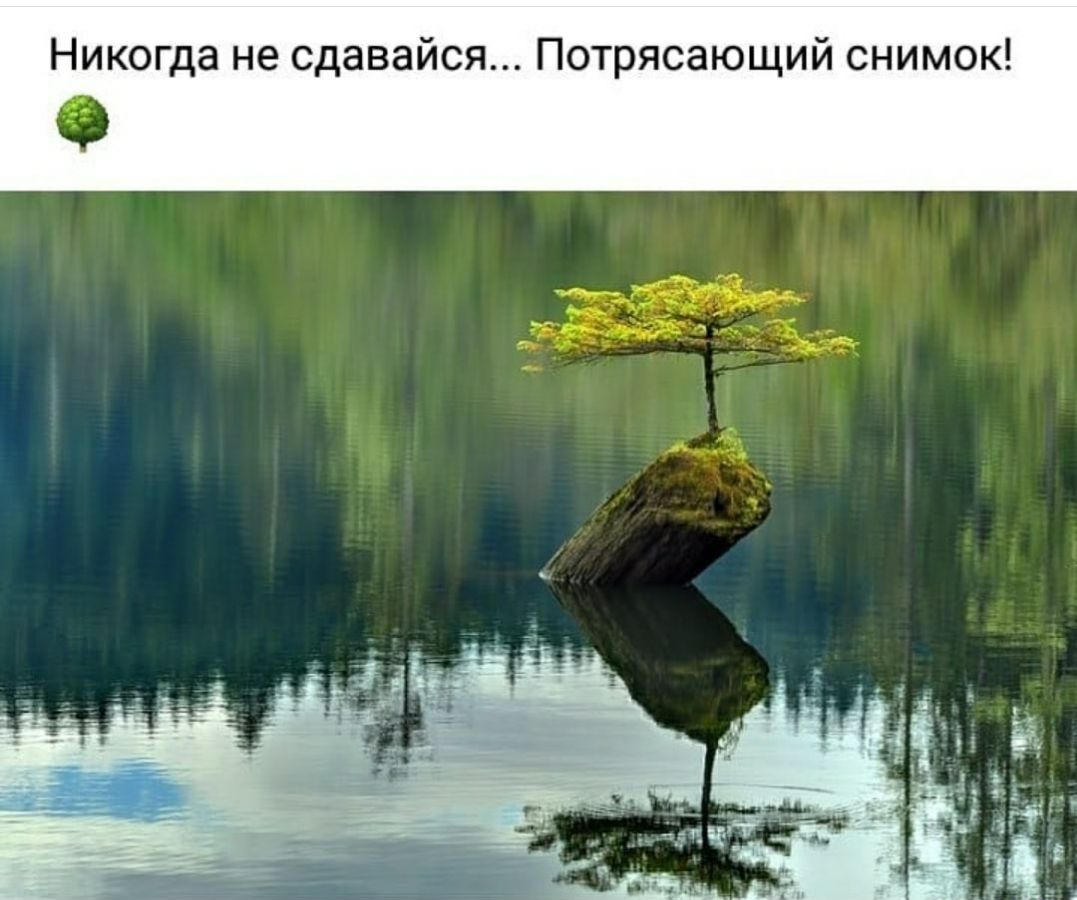 Никогда не сдавайся Потрясающий снимок