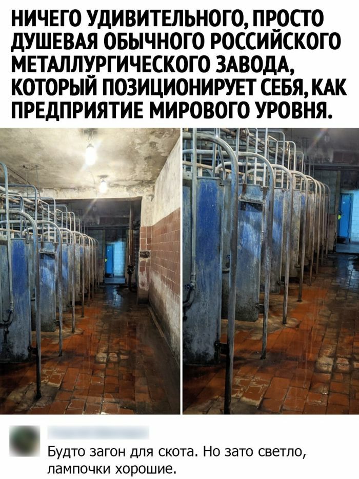 НИЧЕГО УДИВИТЕЛЬНОГО ПРОСТО дУШЕВАЯ ОБЫЧНОГО РОССИЙСКОГО МЕТАЛЛУРГИЧЕСКОГО ЗАВОДА КОТОРЫЙ ПОЗИЦИОНИРУЕГ СЕБЯ КАК ПРЕДПРИЯТИЕ МИРОВОГО УРОВНЯ БУДТО ЗдГОН ДЛЯ СКОТЗ НО ЗЗТО СВЕТЛО ЛдМПОЧКИ ХОРОШИЕ