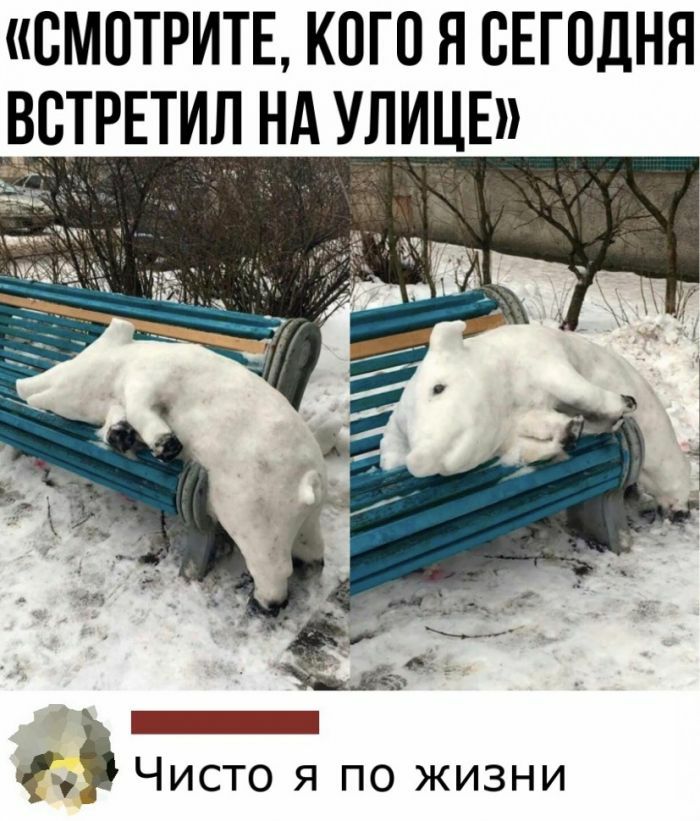 СМОТРИТЕ КОГО Я СЕГОДНЯ ВТРЕТИЛ НА УЛЦИЕ _ Чисто я по жизни