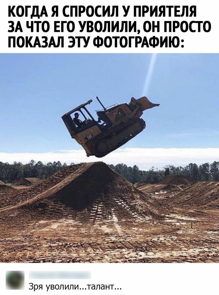 КОГДА Я СПРОСИЛ У ПРИЯТЕЛЯ ЗА ЧТО ЕГО УВОЛИЛИ ОН ПРОСТО ПОКАЗАЛ ЭТУ ФОТОГРАФИЮ ёж Зря увол ипитапант