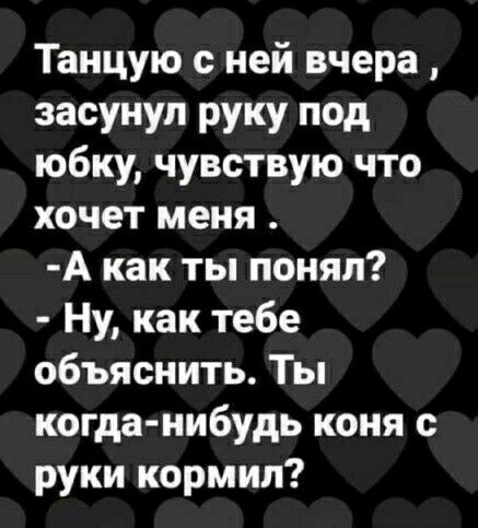 Танцую с ней вчера засунул РУКУ под юбку чувствую что хочет меня А как ты понял Ну как тебе объяснить Ты когда нибудь коня руки кормил