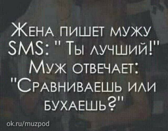 ЖЕНА пишет мужу ЗМЗ Ты Аучший Муж ОТВЕЧАЕТ СРАВНИВАЕШЬ ИАИ БУХАЕшьЗ ОКгЦтиироа