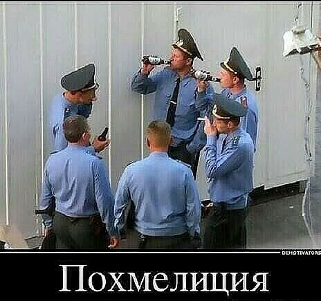 Похмелиция