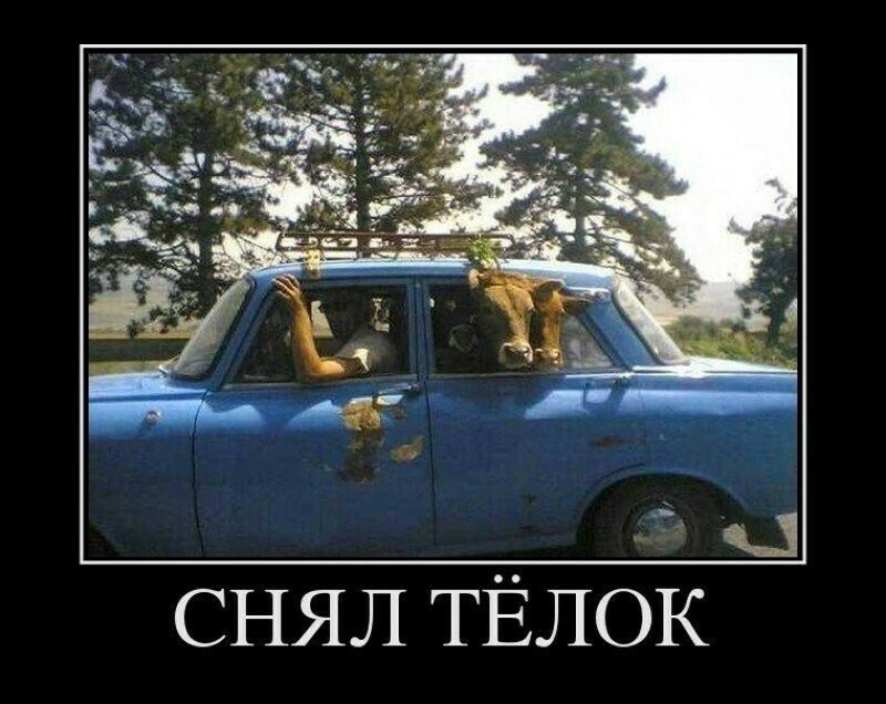 снял ТЁЛОК