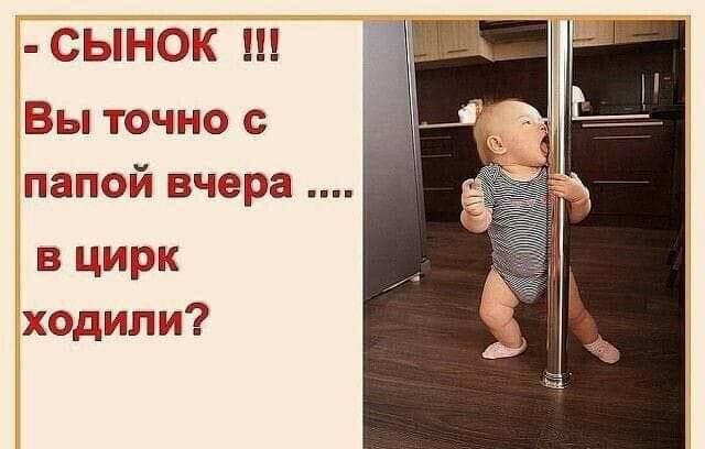 СЫМОК Бы точно пап Юй вчера в цирк ходили
