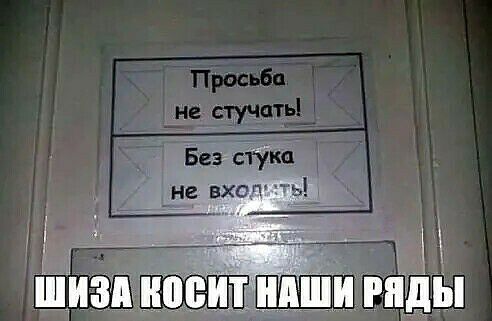 8 Ищи