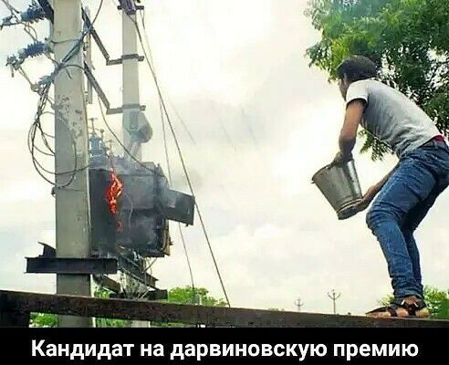 КЗНДИДЭТ на дарвиновскую ПРЕМИЮ