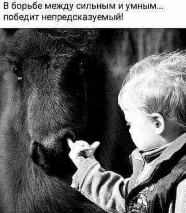 В борьбе между сильным и умным победит непре азуемы _