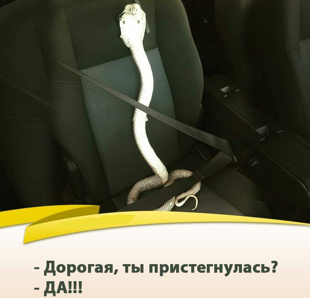 дорогая ты пристегнулась дА