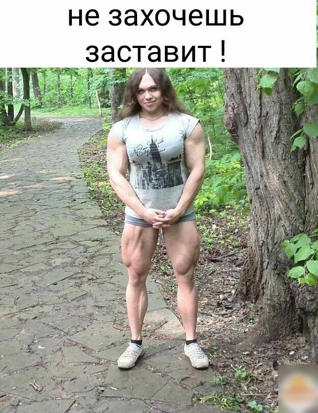 не захочешь заставит