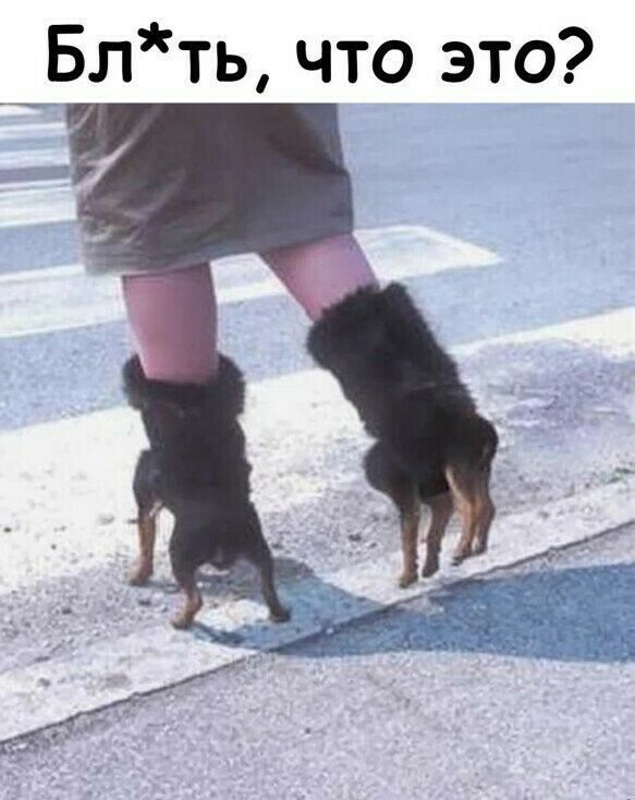 __ Блть что это