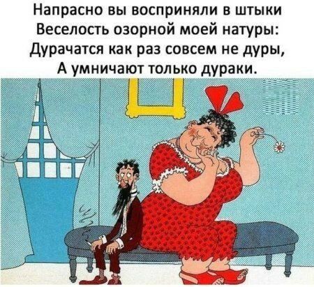 Напрасно ВЫ ВОСПрИНЯЛИ В ШТЫКИ Веселость озорной моей натуры дурачатся как раз совсем не дуры А умничают только дураки