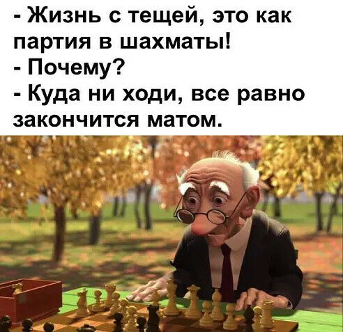 Жизнь с тещей это как партия в шахматы Почему Куда ни ходи все равно ЗЗКОНЧИТСЯ МЗТОМ