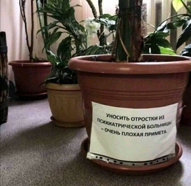 ЮС им отростки и ческой воды по плим