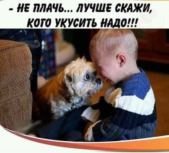 НЕ ПМЧЬ ЛУЧШЕ ЛЫЖИ _ КОГО УКУСИТЬ 0