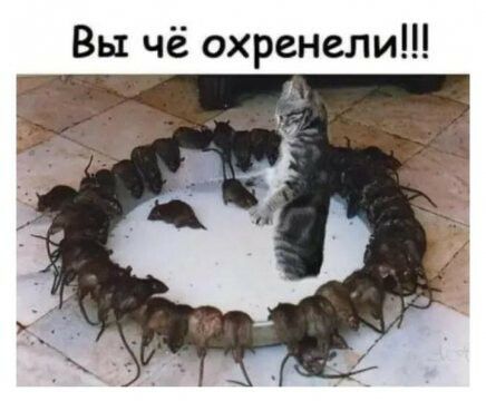 Вы чё охренели