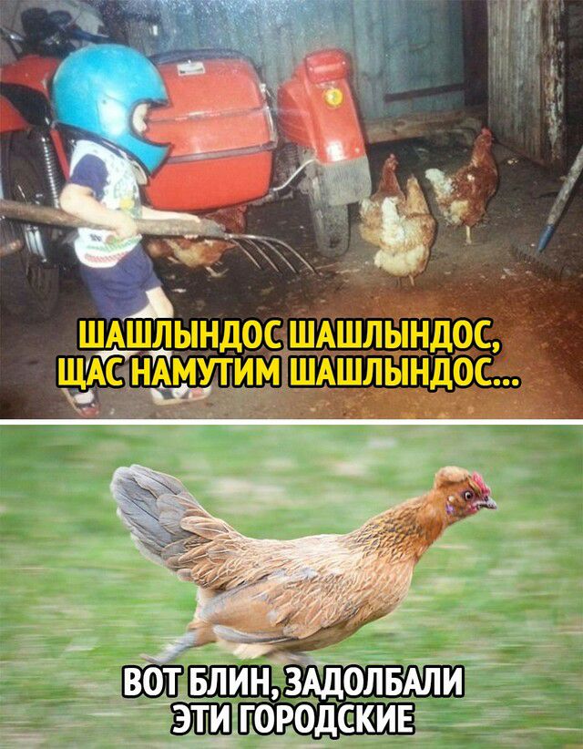 _ _ ШШвлицАдолвАли ашююдекив __