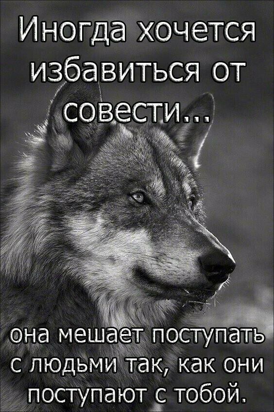 Иногда хочется избавиться от совести ща меш посТупапь с людьЁми таккак они _постуПают с тобой