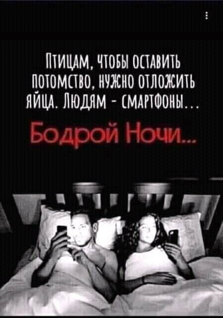 ПТИЩМ ЧЮБЫ ОСТАВИТЬ _ОЮМПВО НЖНО ОТЛОЖИТЪ ЯИЦА ЛЮДЯМ СМАРТФОНЫ ПЁЦЁ