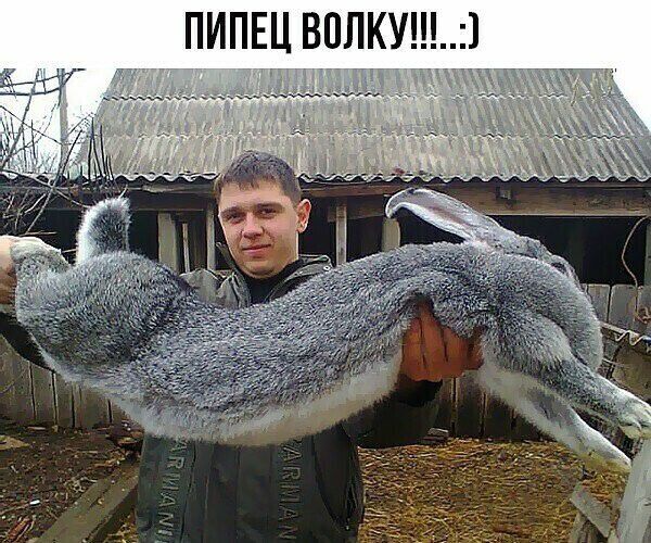 ПИПЕЦ ВПЛКУШ