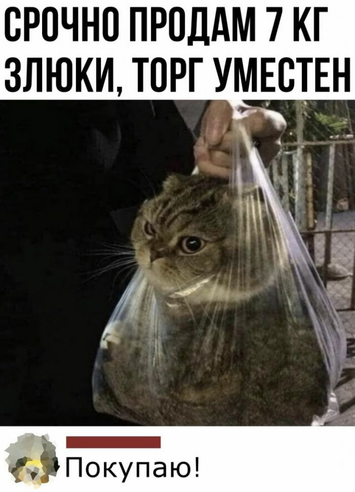 ОРОЧНО ПРОДАМ 7 КГ ЗЛЮКИ ТОРГ УМЕТОЕН _ г