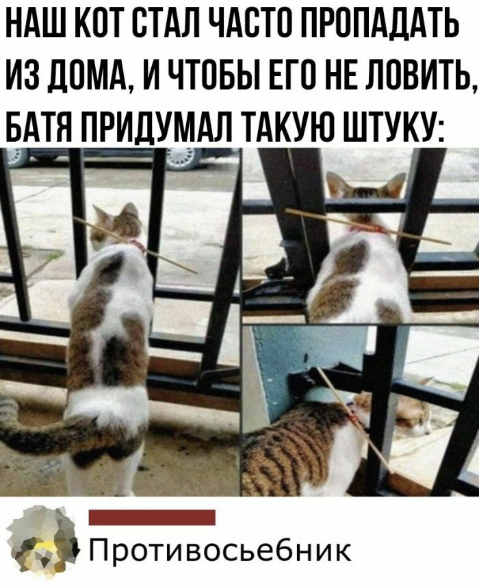 НАШ КОТ СТАЛ ЧАСТО ПРППАДАТЬ ИЗ ДОМА И ЧТОБЫ ЕГО НЕ ЛПВИТЬ БАТЯ ПРИДУАААЛ ТАКУЮ ШТУКУ Противосьебник