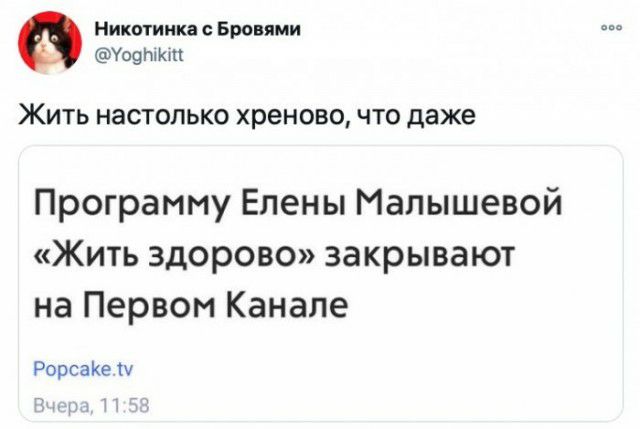 Никитинка Бронями Уооы КМ ЖИТЬ НЗСТОПЬКО хреново ЧТО даже Программу Елены Малышевой Жить здорово закрывают на Первом Канале РорсаКе ш