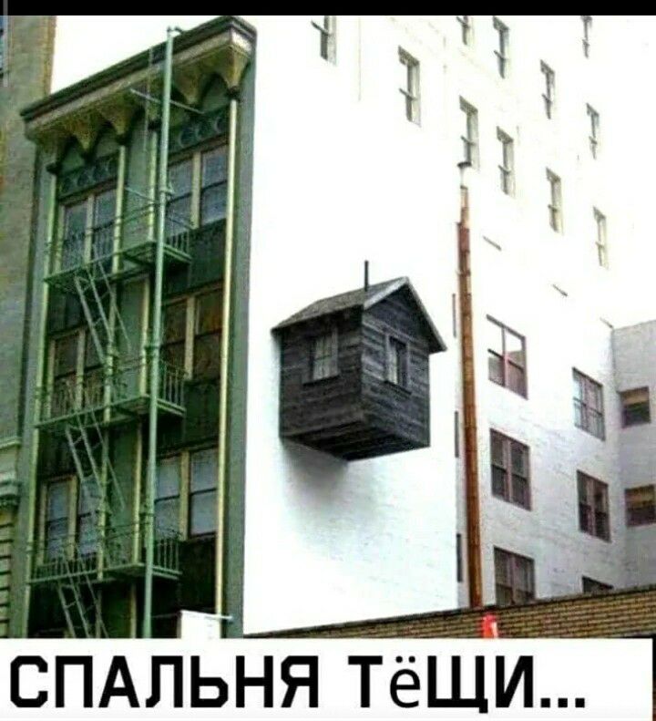 спдпьня тши